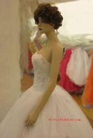 An Elegant Bridal Gown